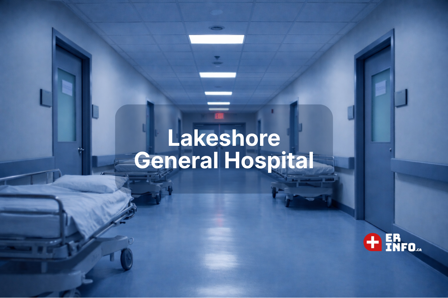 Emergency Department Trend Analysis — Lakeshore General Hospital